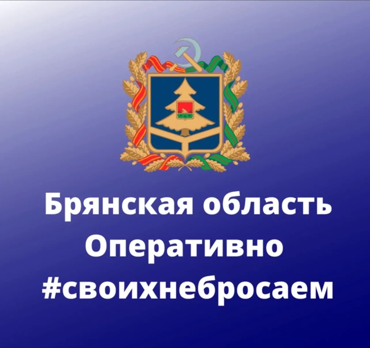 Канал Бранская область. Оперативно в мессенджере MAX