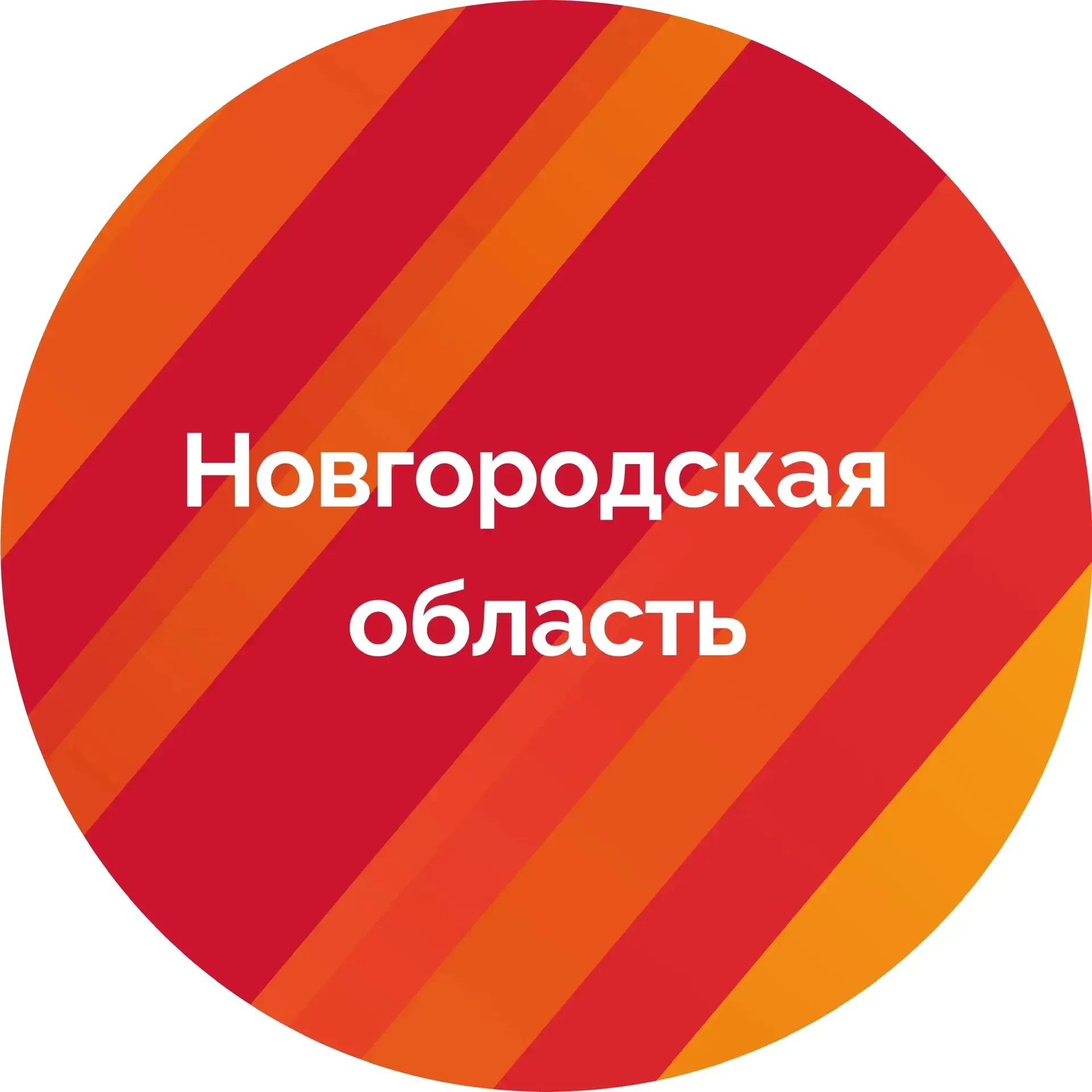 Канал Правительство Новгородской области в мессенджере MAX