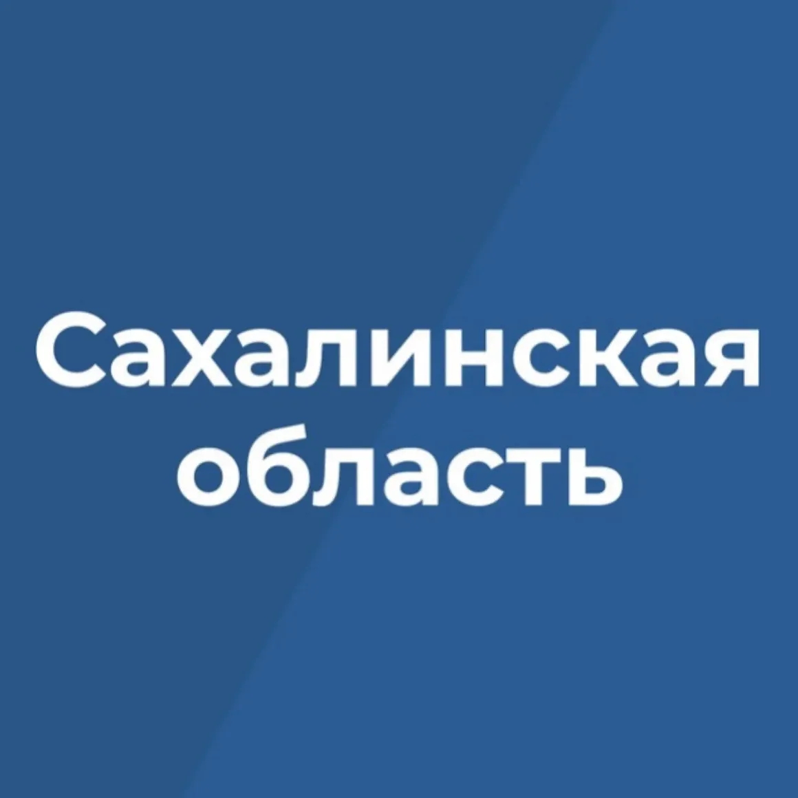 Чат Правительство Сахалинской области в мессенджере MAX