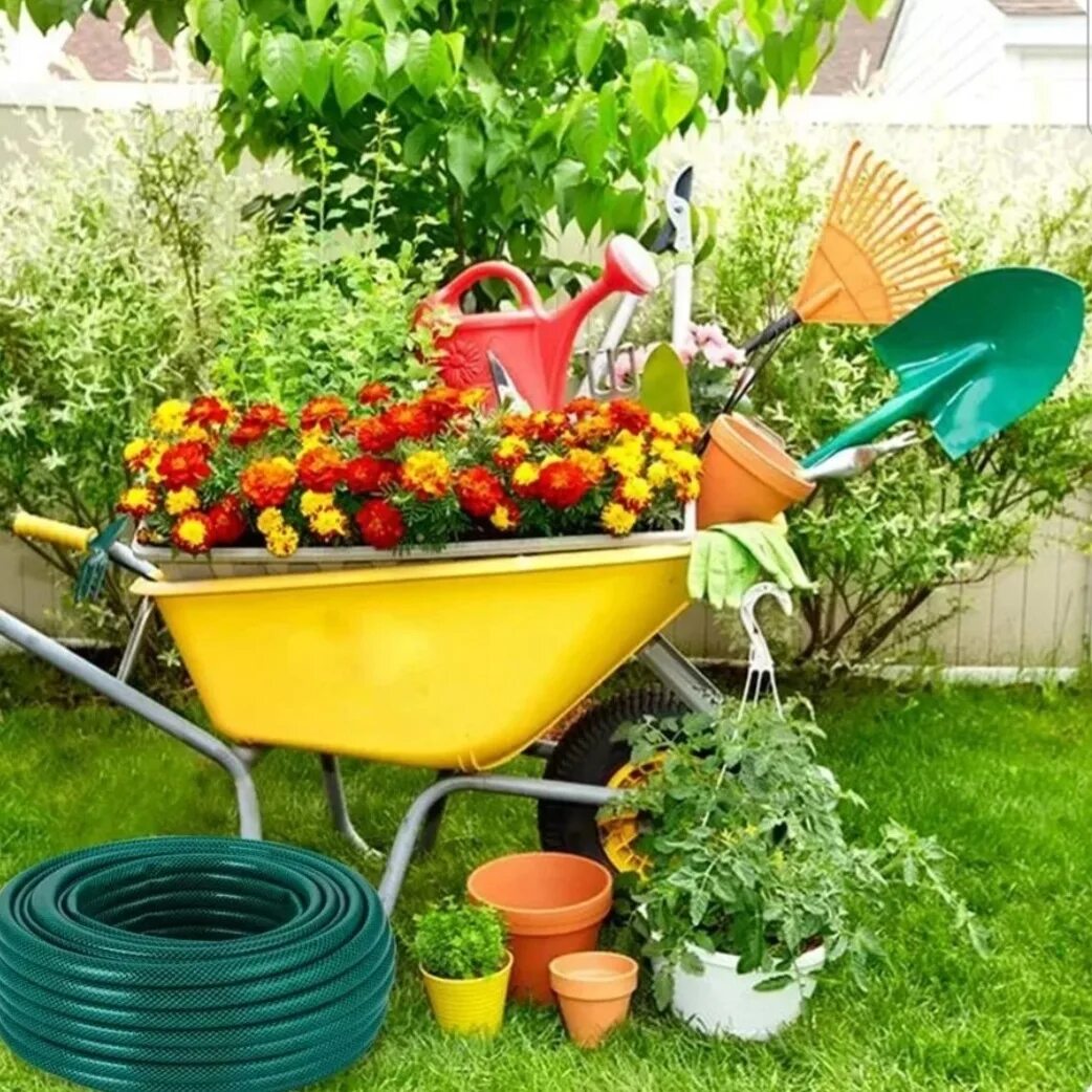 Чат Дача 🏠 сад 👨‍🌾 Огород🌶 в мессенджере MAX