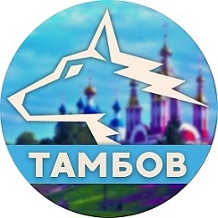 Чат Тамбов в мессенджере MAX